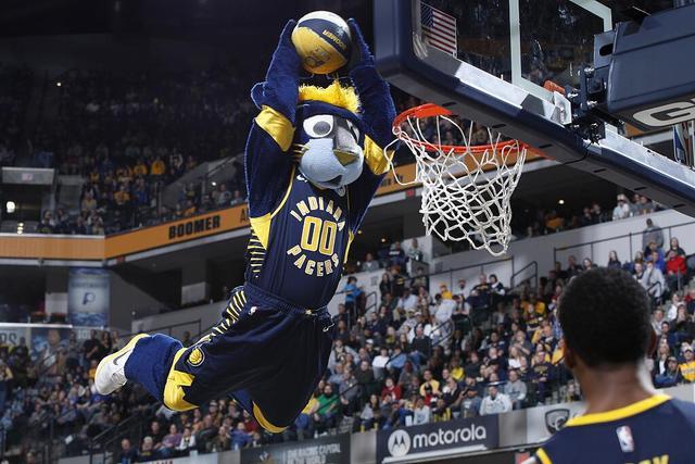 “领帆而上”  2026上海帆船公开赛开幕